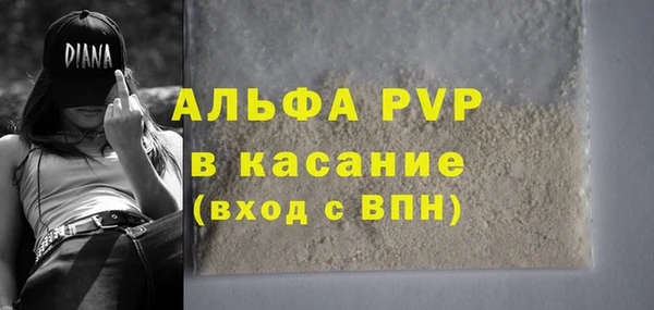 гашик Алексеевка