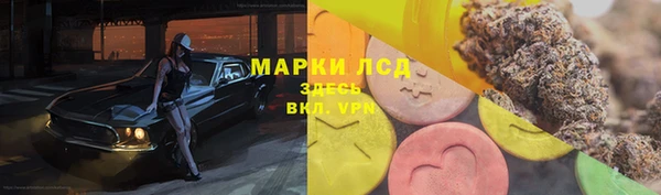 гашик Алексеевка