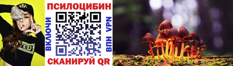 Псилоцибиновые грибы GOLDEN TEACHER блэк спрут маркетплейс Ливны магазин продажи наркотиков